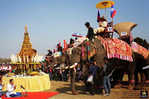 老挝大象节